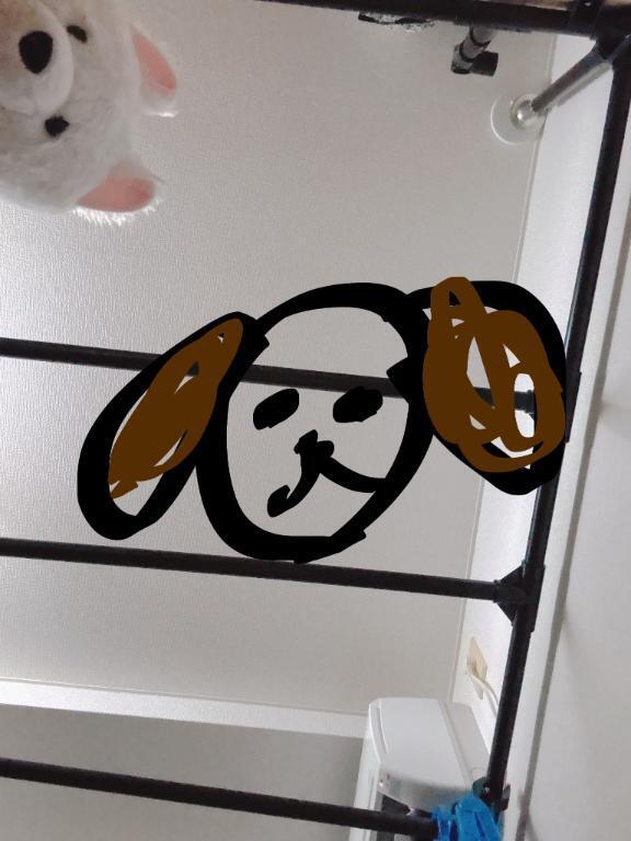 覗かれてる？？｜写メ日記｜あや｜上野・浅草・秋葉原 一般デリヘル ぷるりんクエスト 上野浅草鶯谷秋葉原デリヘル王国