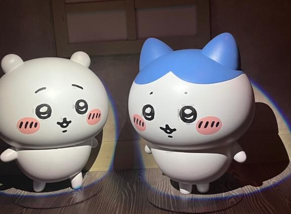 いつか海外暮らししてみたい｜写メ日記｜かな｜上野・浅草・秋葉原 一般デリヘル ぷるりんクエスト 上野浅草鶯谷秋葉原デリヘル王国