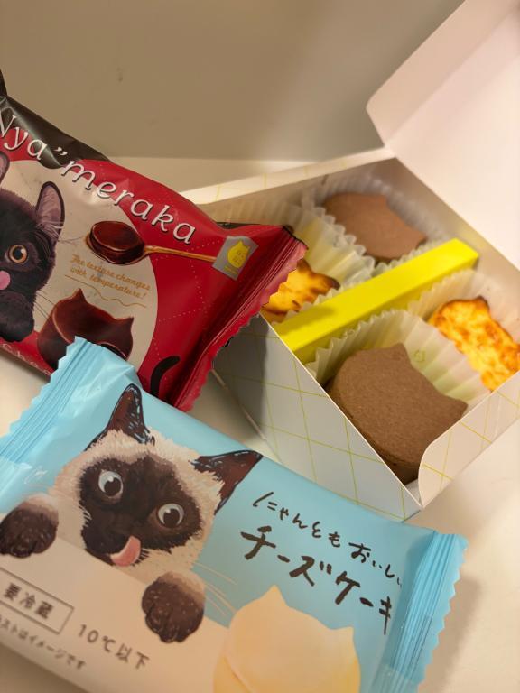 猫｜写メ日記｜倉木せりか｜銀座・新橋・汐留 出張エステ Mrs. Dandy Ginza