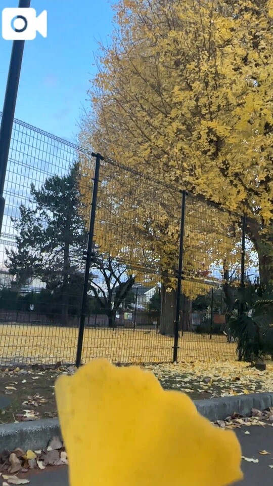 自然の美しさ素敵だよね😌