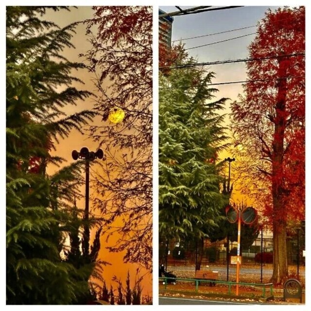 ムラムラしちゃう🙈