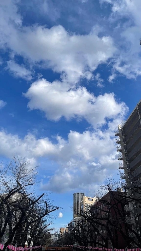 👢｜写メ日記｜高輪けい｜銀座・新橋・汐留 出張エステ Mrs. Dandy Ginza