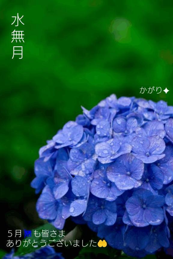 🐸　水無月　🐸｜写メ日記｜冨永かがり｜銀座・新橋・汐留 出張エステ Mrs. Dandy Ginza