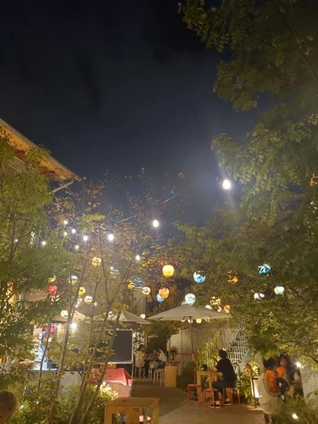 ✦ 本日お休みです🚢 ✦