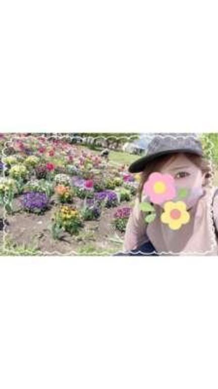 Iさん｜写メ日記｜西島すず｜銀座・新橋・汐留 出張エステ Mrs. Dandy Ginza