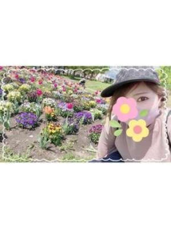 Tさん♡｜写メ日記｜西島すず｜銀座・新橋・汐留 出張エステ Mrs. Dandy Ginza