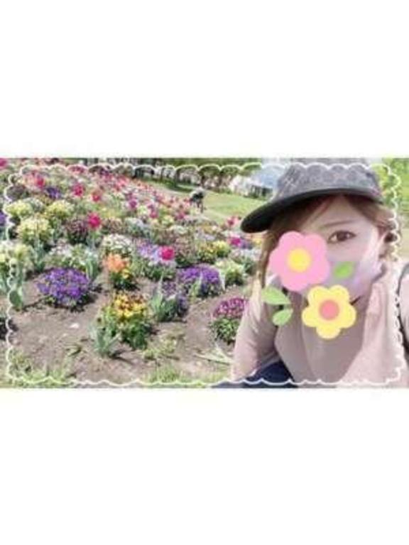 ありがとうございました｜写メ日記｜西島すず｜銀座・新橋・汐留 出張エステ Mrs. Dandy Ginza