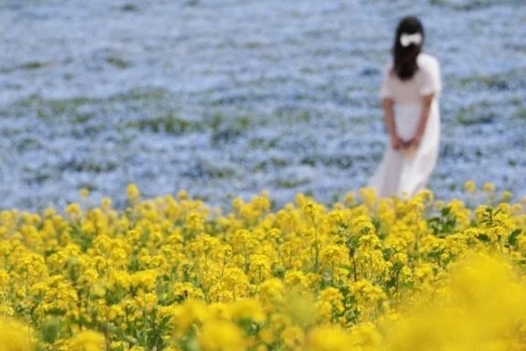月1エステ｜写メ日記｜水上まい｜銀座・新橋・汐留 出張エステ Mrs. Dandy Ginza