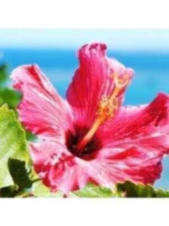 待ってます｜写メ日記｜北条なぎさ｜銀座・新橋・汐留 出張エステ Mrs. Dandy Ginza