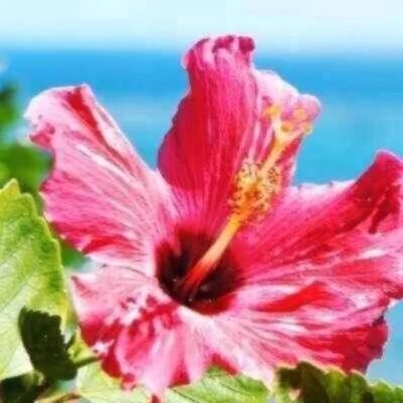 出勤しています♡｜写メ日記｜北条なぎさ｜銀座・新橋・汐留 出張エステ Mrs. Dandy Ginza