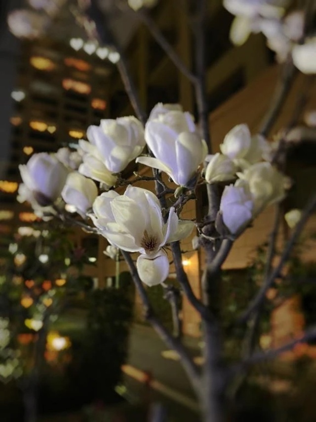 雨ですね☔️｜写メ日記｜桐葉りそら｜銀座・新橋・汐留 出張エステ Mrs. Dandy Ginza