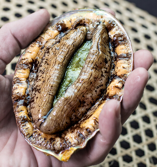 楽しかったです｜写メ日記｜モエ2(2日～）｜鶯谷 韓国デリヘル マニト(manito)