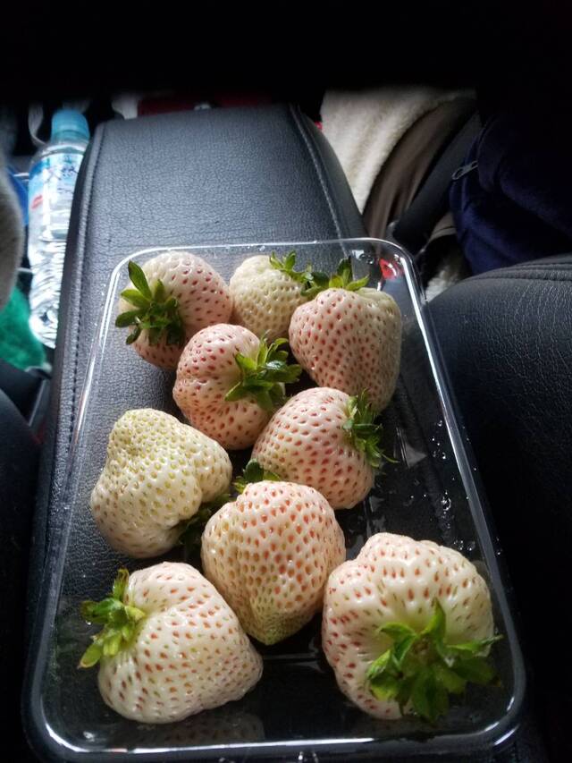 本当に好き！！