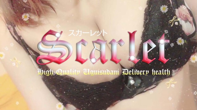 よろしくお願いいたします