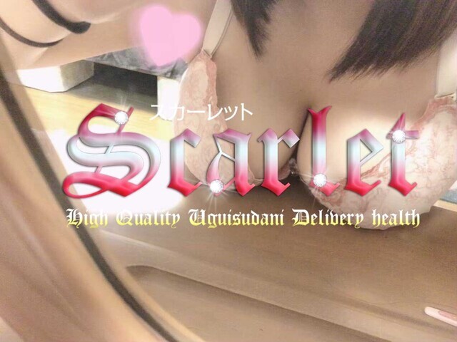 今日は祝日です