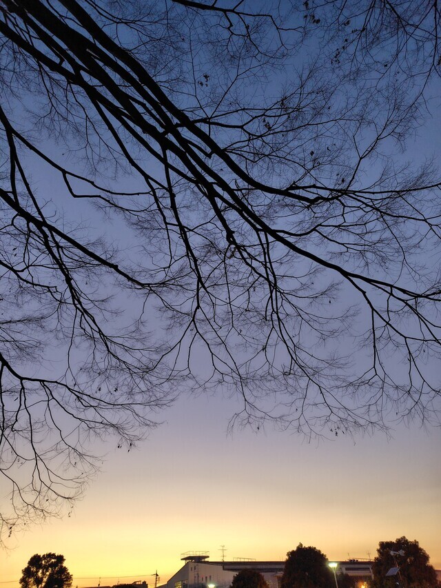 陽がのびましたね｜写メ日記｜ともみ｜大塚・巣鴨 出張エステ 大塚　虹いろ回春