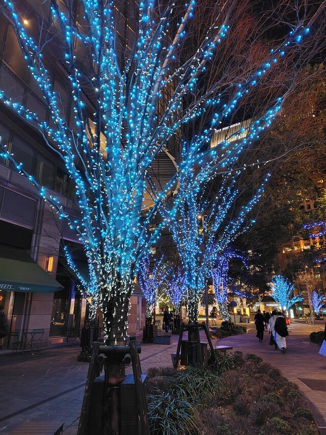 さ、寒い〜｜写メ日記｜ともみ｜大塚・巣鴨 出張エステ 大塚　虹いろ回春