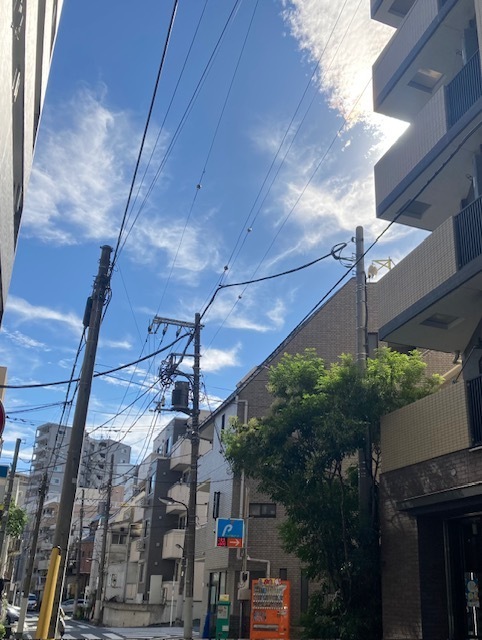 天高く｜写メ日記｜まい｜大塚・巣鴨 出張エステ 大塚　虹いろ回春