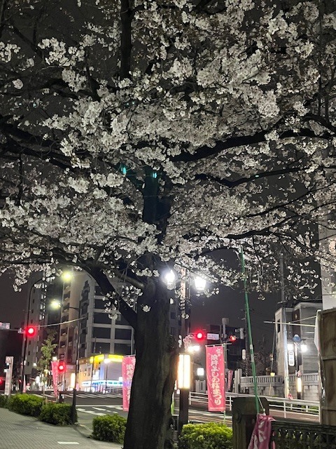 おはようございます｜写メ日記｜ちどり｜大塚・巣鴨 出張エステ 大塚　虹いろ回春