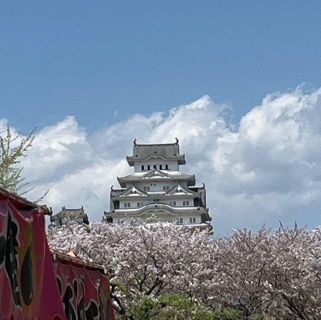 翌週の予定です｜写メ日記｜ちどり｜大塚・巣鴨 出張エステ 大塚　虹いろ回春