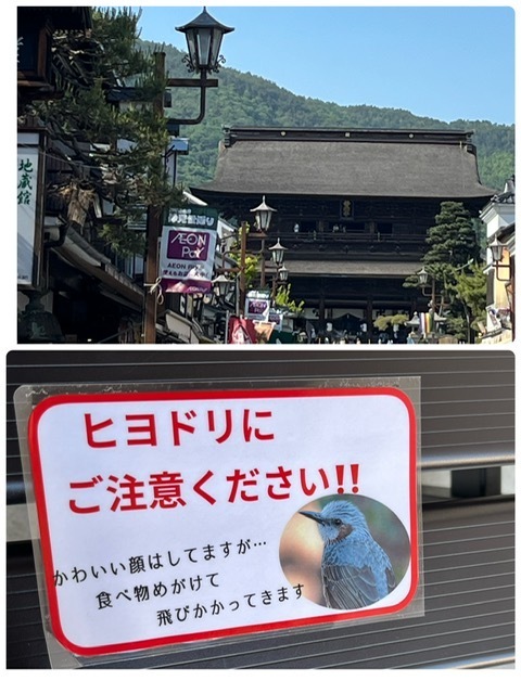こんにちは｜写メ日記｜ちどり｜大塚・巣鴨 出張エステ 大塚　虹いろ回春