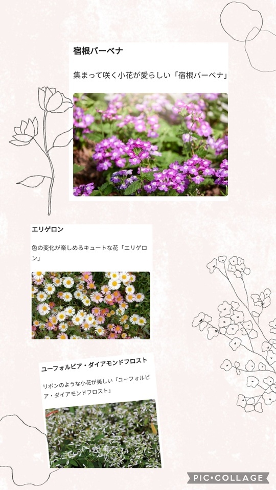 ポカポカ陽気｜写メ日記｜ひなた｜大塚・巣鴨 出張エステ 大塚　虹いろ回春