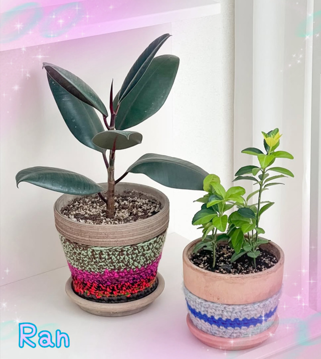 出勤しました｜写メ日記｜らん｜大塚・巣鴨 出張エステ 大塚　虹いろ回春