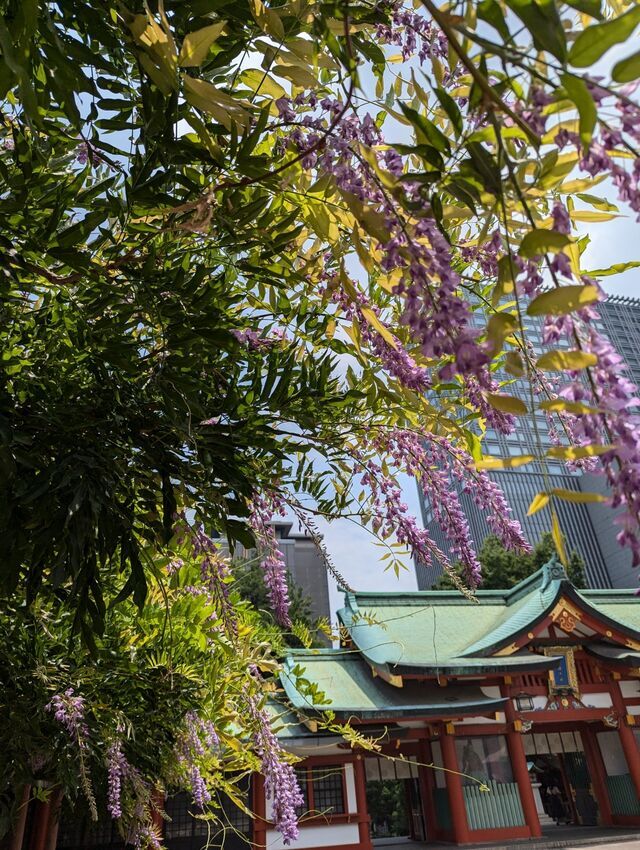 こんばんは(*´∀｀*)｜写メ日記｜やよい｜大塚・巣鴨 出張エステ 大塚　虹いろ回春