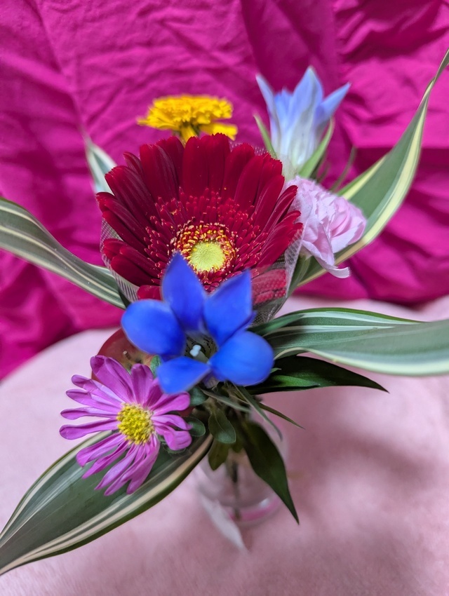 こんばんは(*´∀｀*)