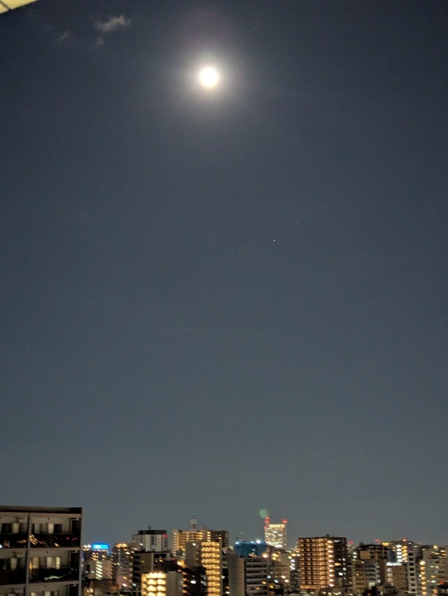 こんばんは(*´∀｀*)