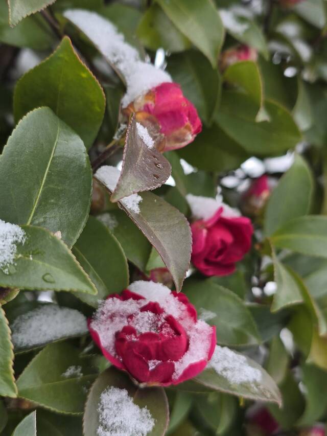こんばんは(*´∀｀*)｜写メ日記｜やよい｜大塚・巣鴨 出張エステ 大塚　虹いろ回春