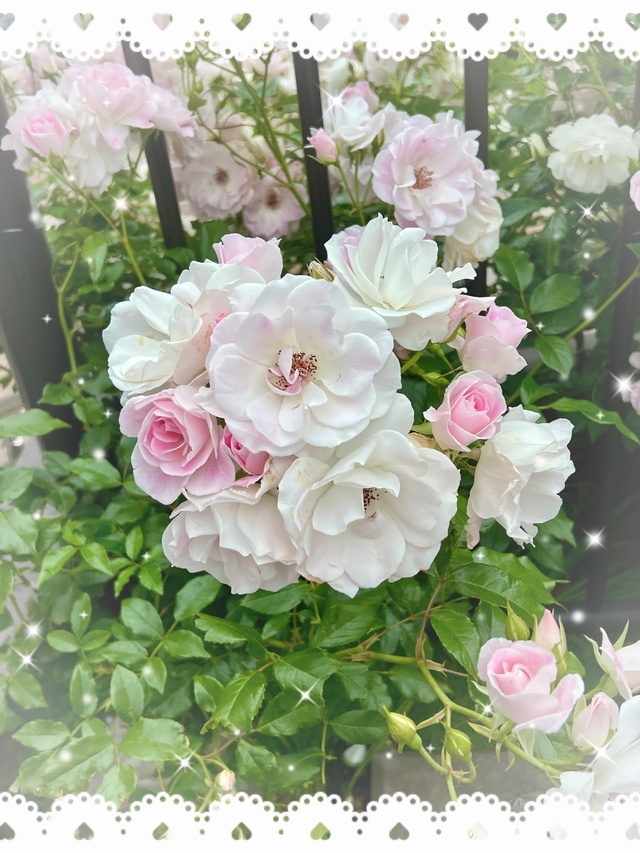 おはようございます｜写メ日記｜さやか｜大塚・巣鴨 出張エステ 大塚　虹いろ回春