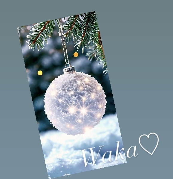 メリークリスマス｜写メ日記｜わか｜大塚・巣鴨 出張エステ 大塚　虹いろ回春