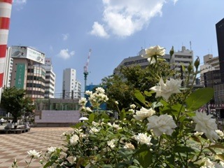 わかです。｜写メ日記｜わか｜大塚・巣鴨 出張エステ 大塚　虹いろ回春