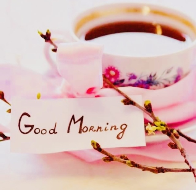 本日出勤来週・再来週の予定は後程｜写メ日記｜さくら｜大塚・巣鴨 出張エステ 大塚　虹いろ回春