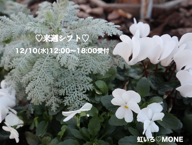 来週シフトのお知らせ｜写メ日記｜もね｜大塚・巣鴨 出張エステ 大塚　虹いろ回春