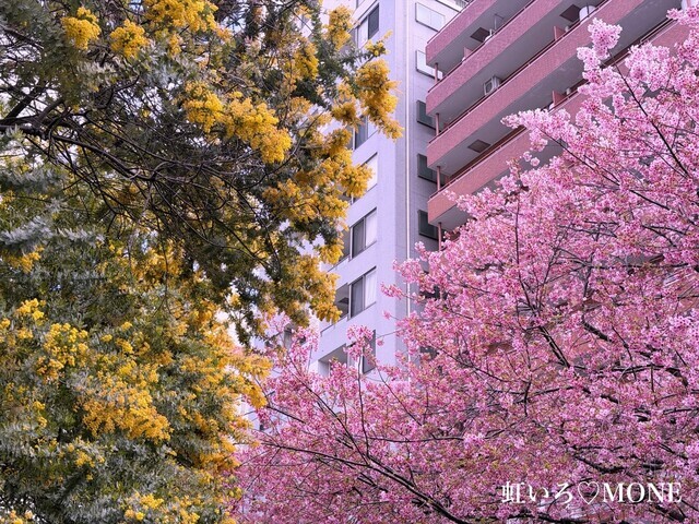 本日出勤