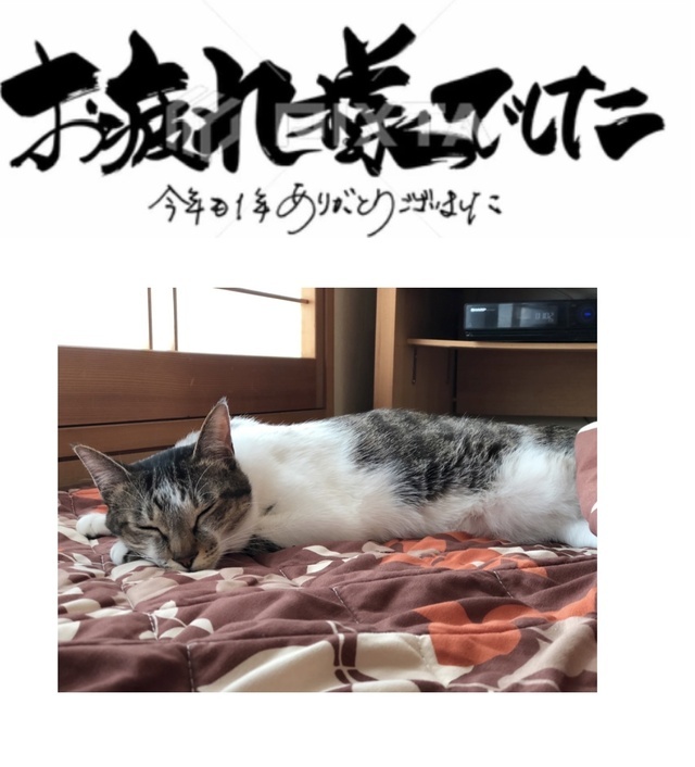 2025年ありがとうございます♀