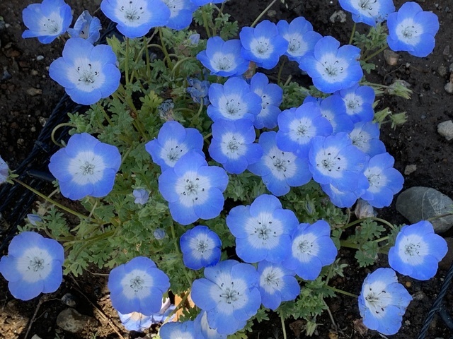 おはようございます