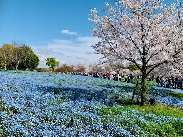 来週の出勤日