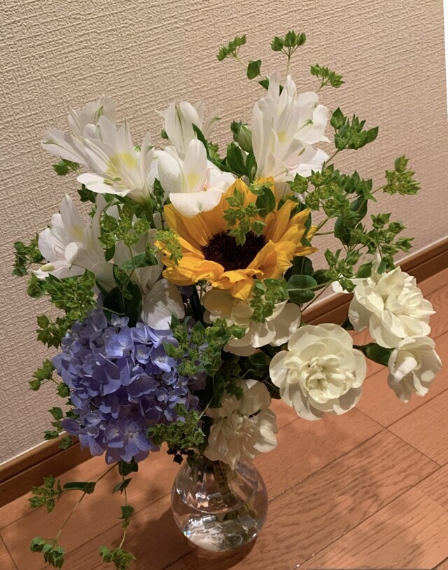 お礼とお詫び♀｜写メ日記｜ひびき｜大塚・巣鴨 出張エステ 大塚　虹いろ回春