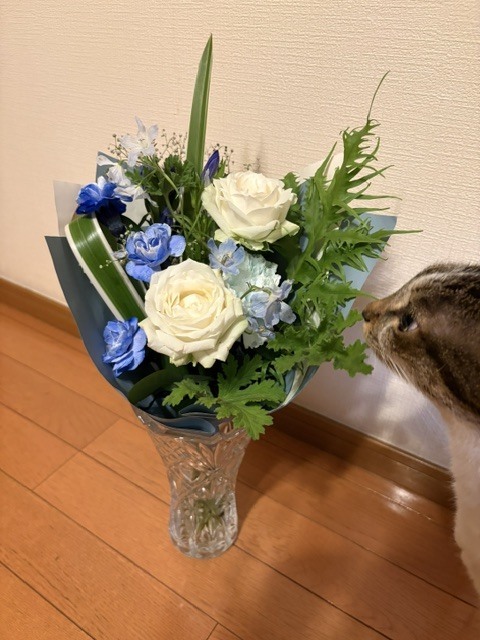 今週ありがとうございます｜写メ日記｜ひびき｜大塚・巣鴨 出張エステ 大塚　虹いろ回春
