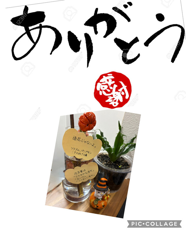 ９月ありがとうございます｜写メ日記｜ひびき｜大塚・巣鴨 出張エステ 大塚　虹いろ回春