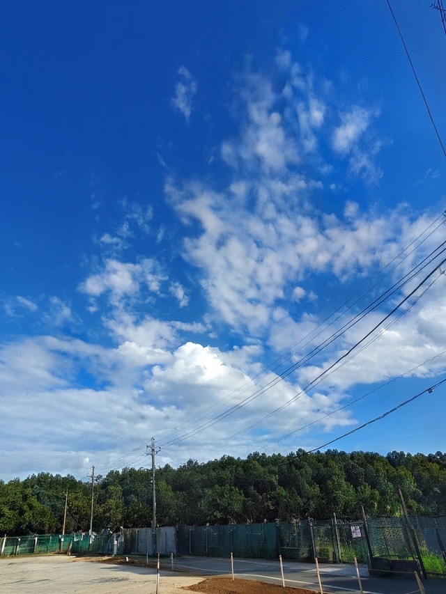 ことみの今日のことワザ【7月31日】｜写メ日記｜ことみ｜大塚・巣鴨 出張エステ 大塚　虹いろ回春