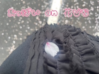 乳○は○○○と繋がっている！？｜写メ日記｜しゅり｜大塚・巣鴨 出張エステ 大塚　虹いろ回春