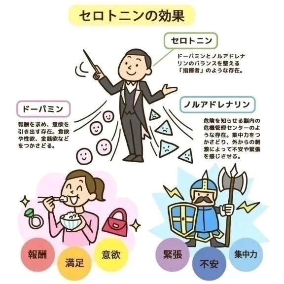 幸せホルモン