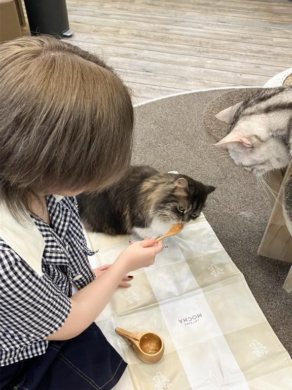 ずんどこまんじゅう｜写メ日記｜みやび｜立川・八王子・三多摩 一般デリヘル プリコレ（PRINCESS COLLECTION）