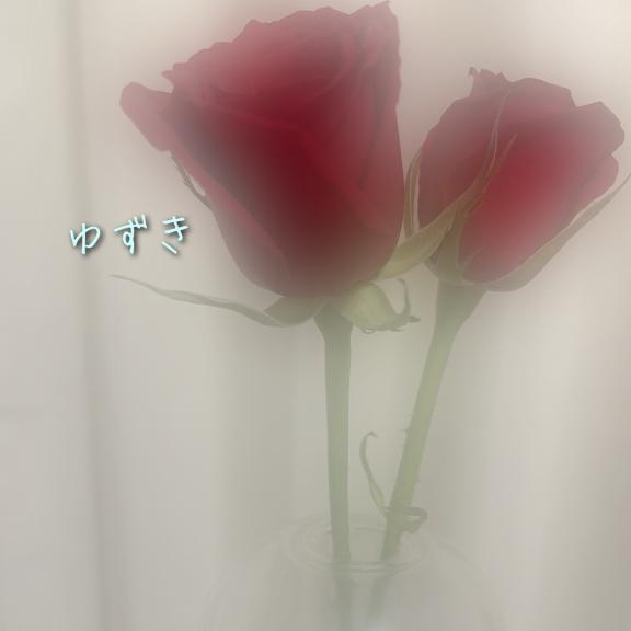 ありがとうございました｜写メ日記｜ゆずき｜新宿 人妻デリヘル 人妻・若妻デリヘル レディプレイス
