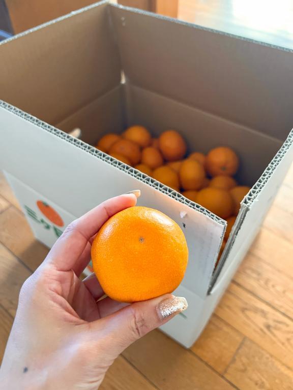 美味しいの届きました