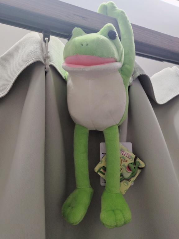 ワタシ、カエル